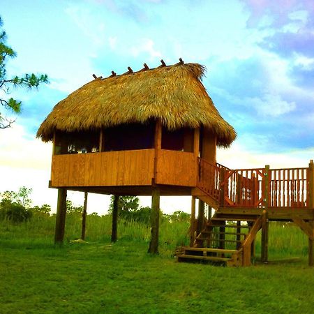 Everglades Chickee Cottage & Bungalow - Ochopee Exteriör bild