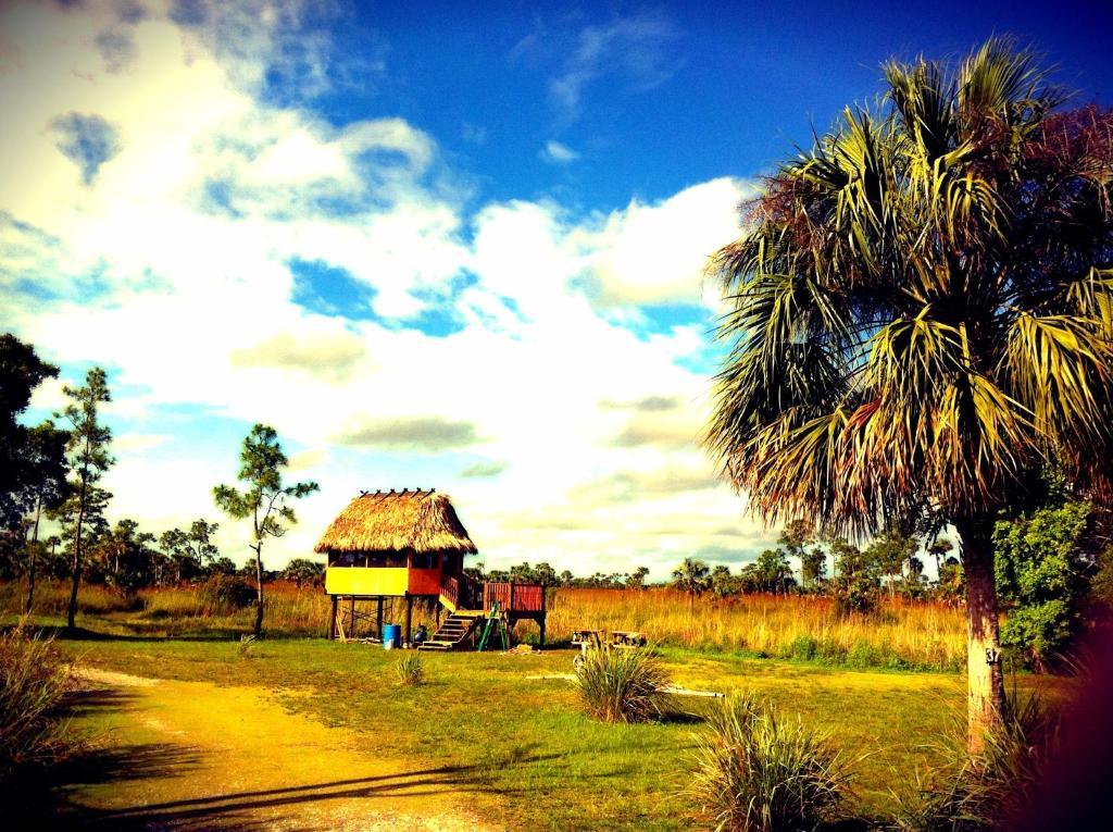 Everglades Chickee Cottage & Bungalow - Ochopee Rum bild