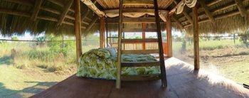Everglades Chickee Cottage & Bungalow - Ochopee Exteriör bild