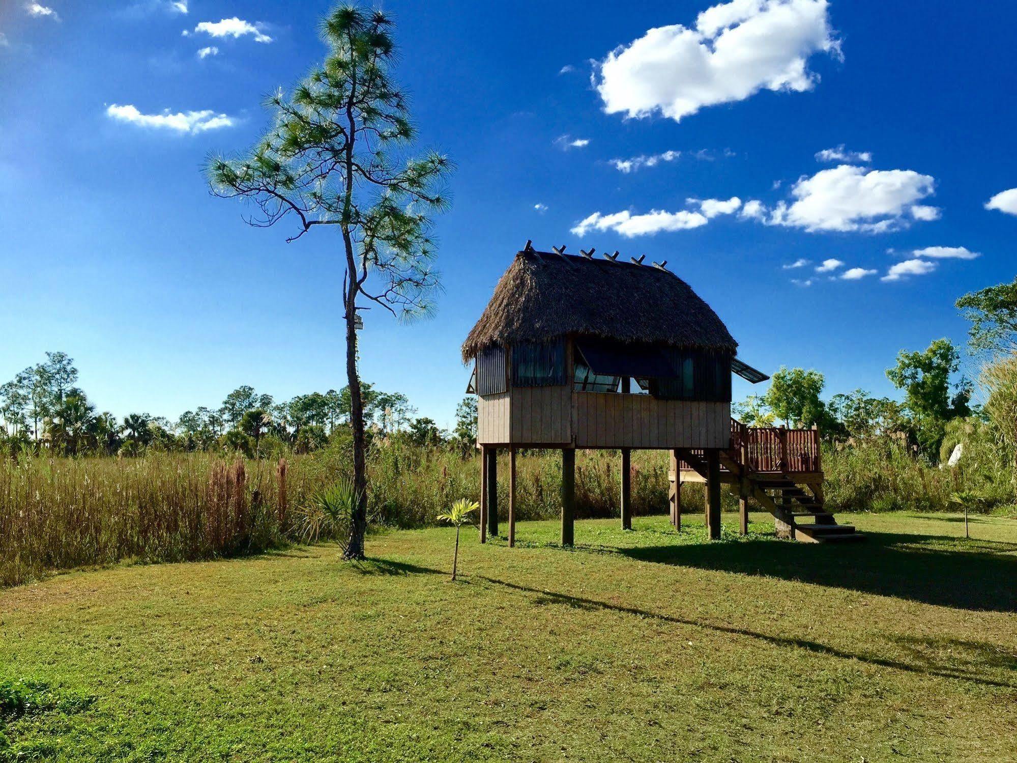 Everglades Chickee Cottage & Bungalow - Ochopee Exteriör bild