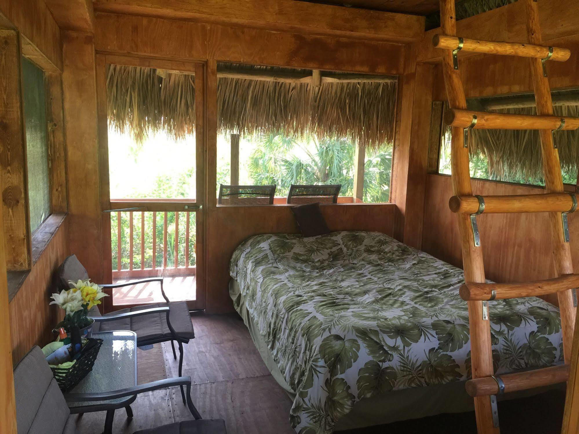 Everglades Chickee Cottage & Bungalow - Ochopee Exteriör bild